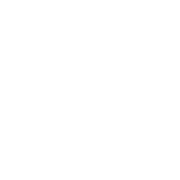 Key Highlight Icon